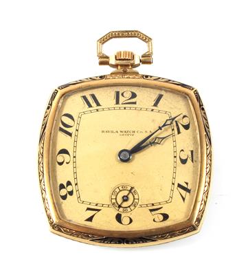 Havila Watch Co. S. A.