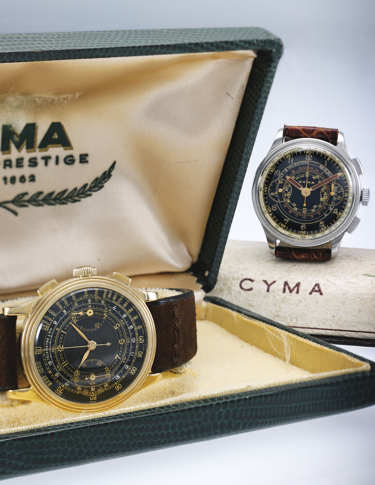 Cyma